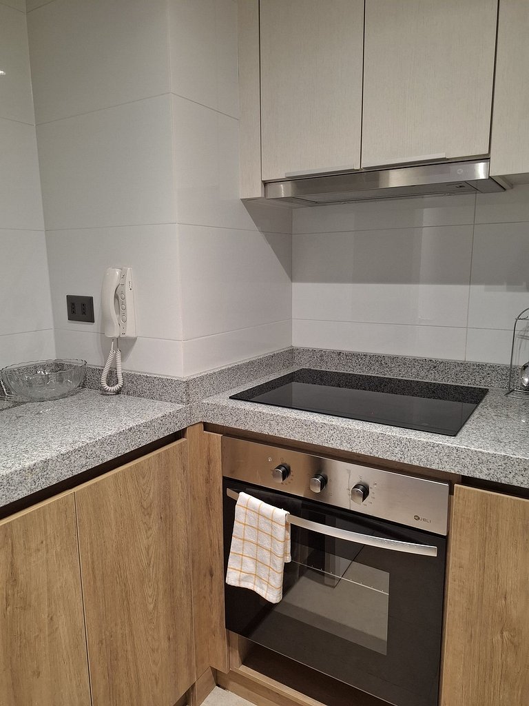 Departamento Moderno IV