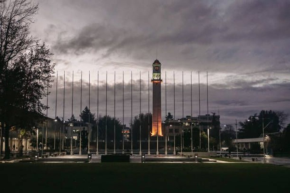 Qué hacer en Concepción: guía completa para visitantes