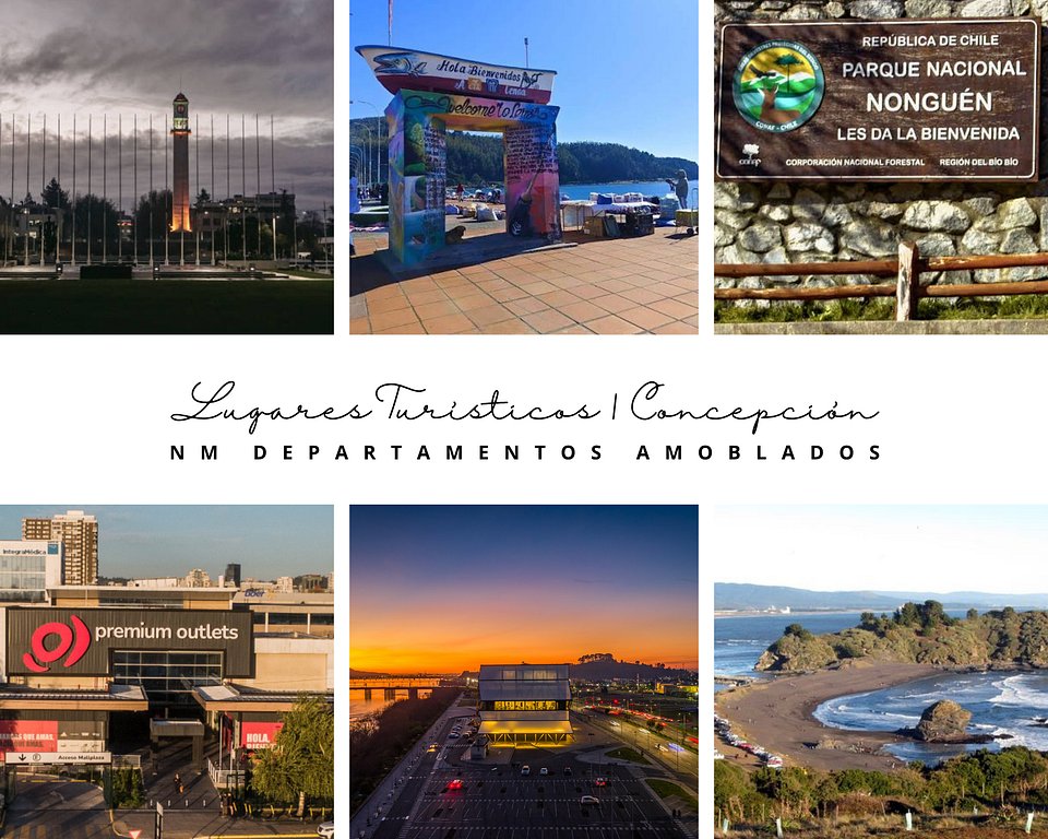 Naturaleza, cultura y ciudad: lugares imperdibles para visitar cerca de Concepción